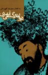 کتاب دیوان نرگسی ابهری (بر اساس پنج نسخه خطی) نوشته  ابوالمکارم قدرت الله نرگسی ابهری
